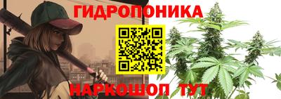 jwh Лесосибирск