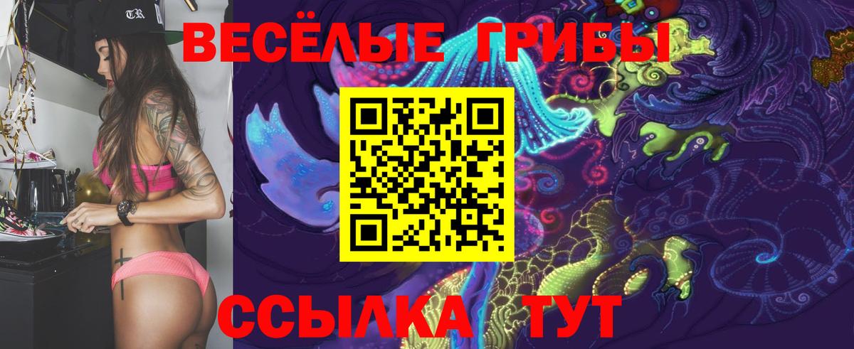 Галлюциногенные грибы Psilocybe Трёхгорный