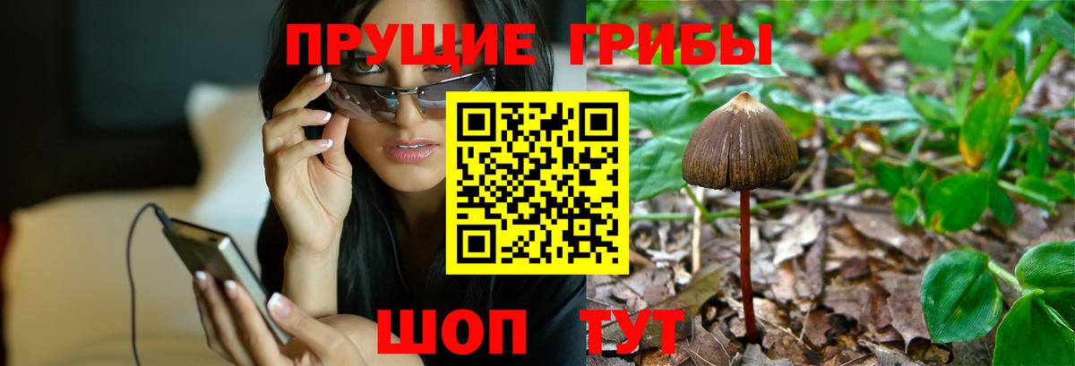 Псилоцибиновые грибы GOLDEN TEACHER  Вход с VPN  где можно купить наркотик  Трёхгорный 