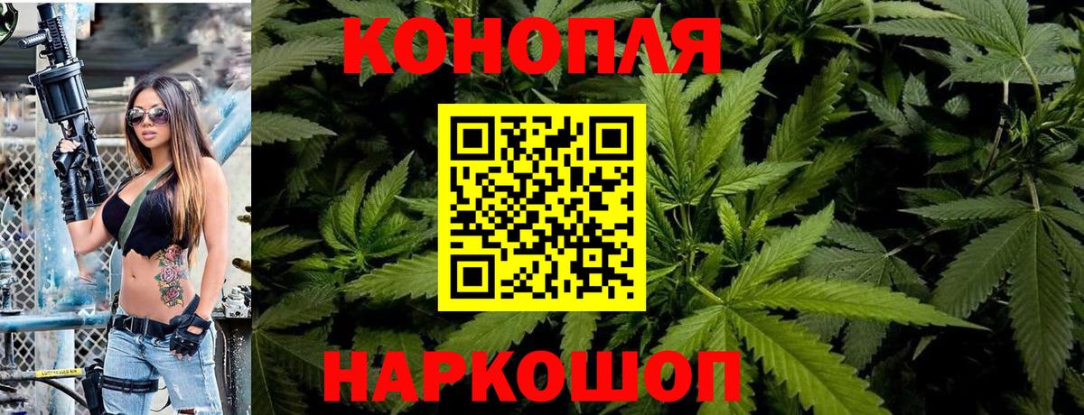 Бошки Шишки план Трёхгорный